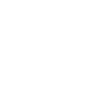 Ekyviti Logo