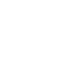 SDH Courtage Logo